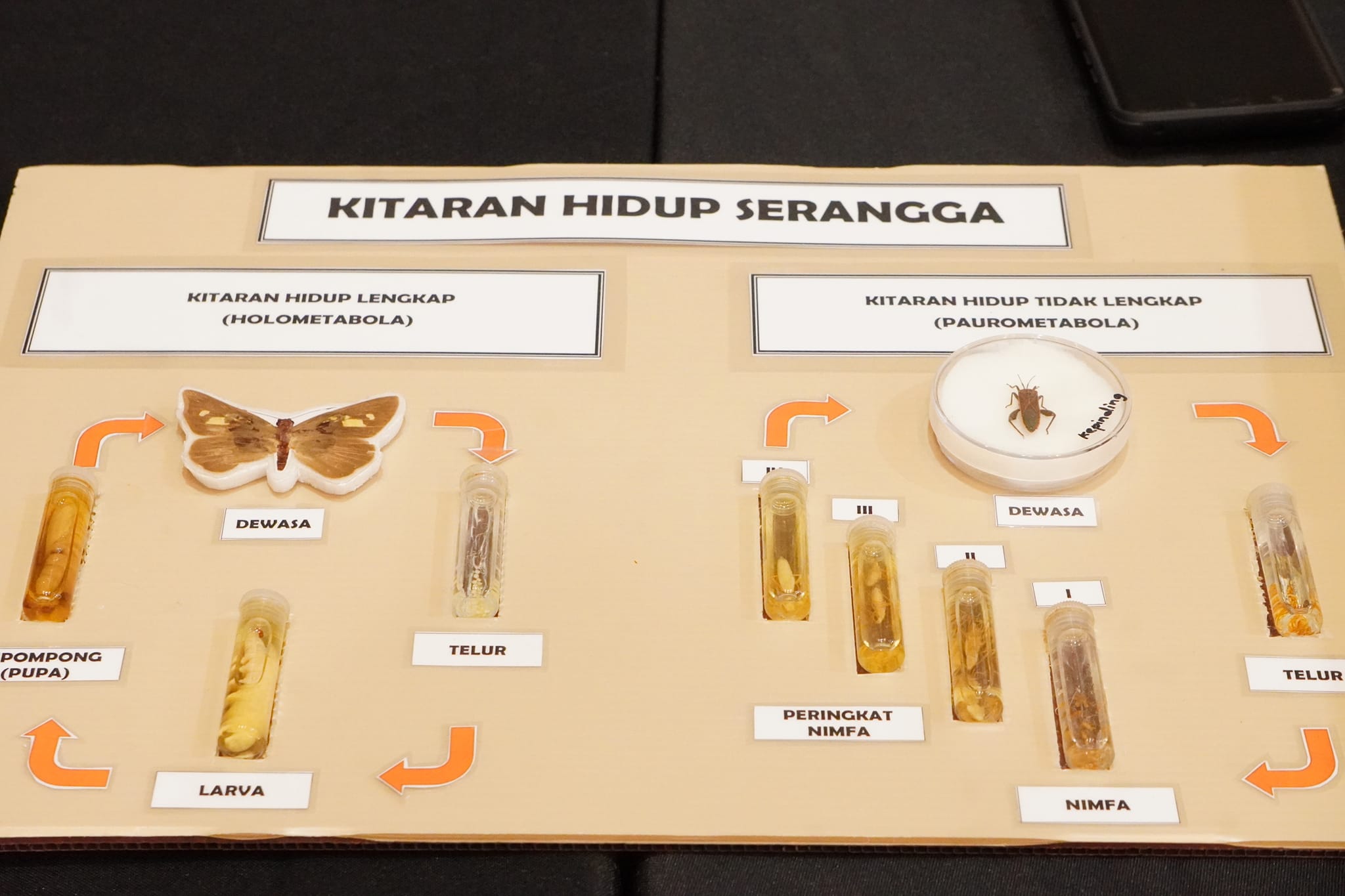 SEMINAR DAN LATIHAN PERTANIAN PESERTA LAMAN HIJAU STRATA 2.0 NEGERI SELANGOR MASA: 8.30 PAGI HINGGA 6.00 PETANG TEMPAT: SHAH ALAM CONVENTION CENTRE (SACC) PERASMIAN PENUTUP OLEH: Y.B. PUAN RODZIAH BINTI ISMAIL EXCO PERUMAHAN, KESEJAHTERAAN BANDAR DAN