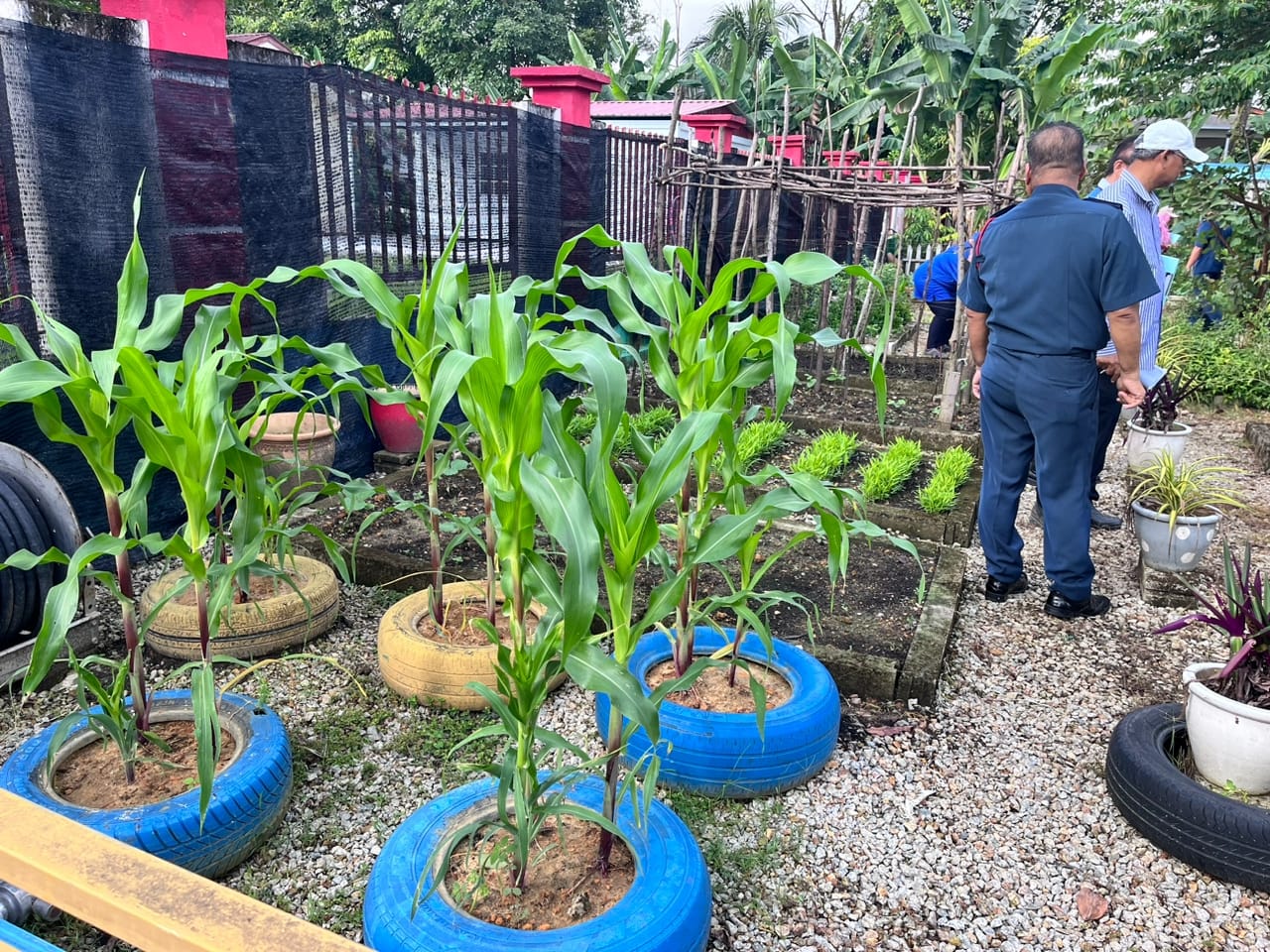 JEMPUTAN SEBAGAI JURI PERTANDINGAN KEBUN KOMUNITI MAJLIS PERBANDARAN AMPANG JAYA TAHUN 2023 JEMPUTAN SEBAGAI JURI PERTANDINGAN KEBUN KOMUNITI MAJLIS PERBANDARAN AMPANG JAYA TAHUN 2023 TARIKH: 10 JANUARI 2023 - 19 JANUARI 2023 MASA: 9.00 PAGI - 2.00 P